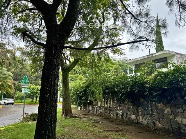 place photo 40