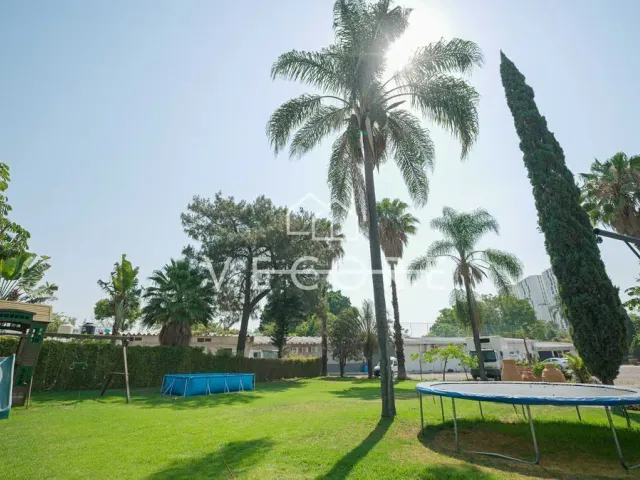 place photo 14
