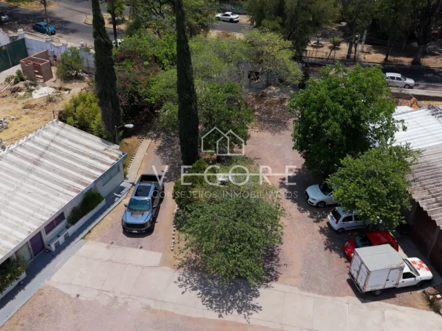 place photo 26