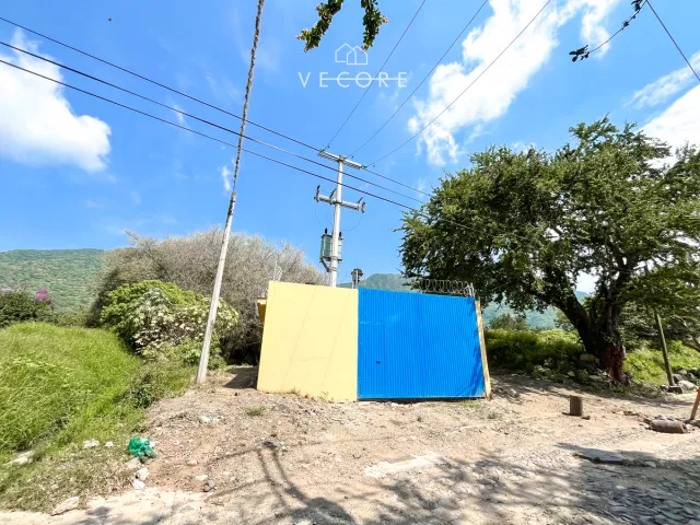 place photo 16