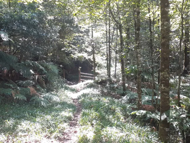 place photo 14