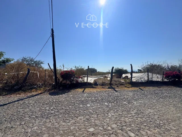 place photo 14