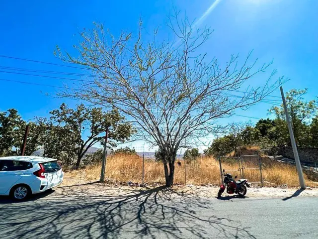 place photo 4