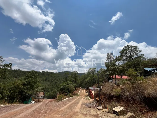 place photo 18