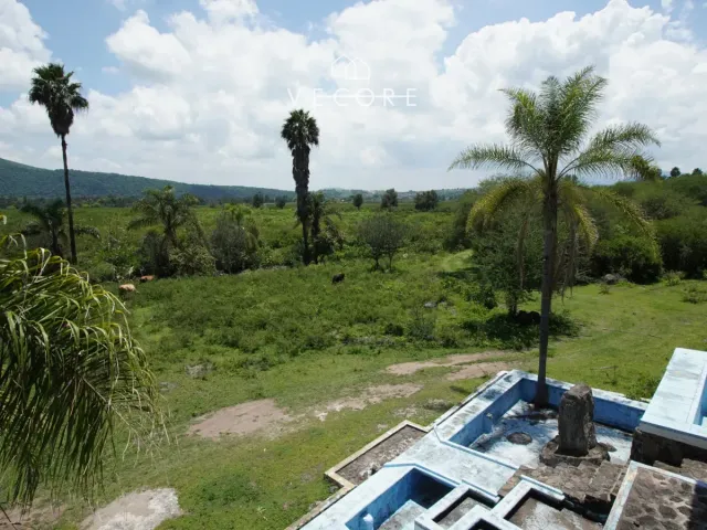 place photo 34