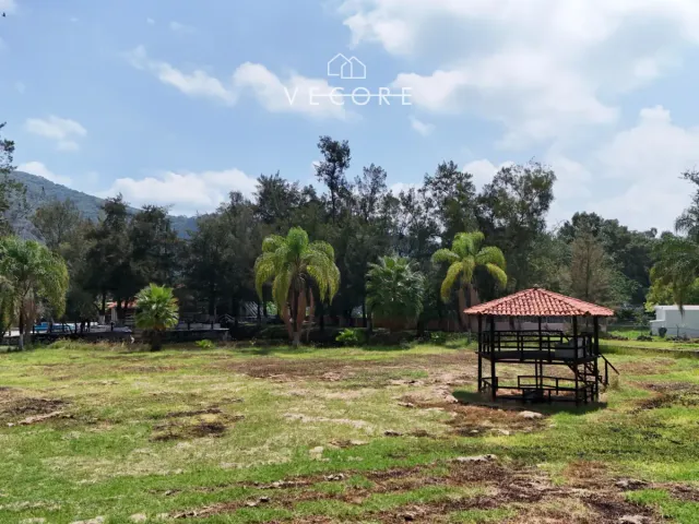 place photo 46
