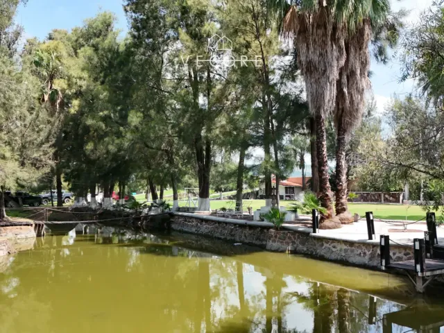 place photo 45