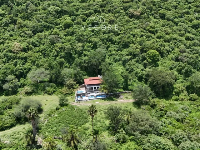 place photo 43