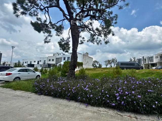 place photo 23