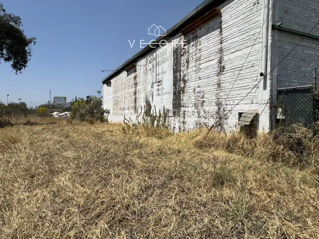 place photo 16