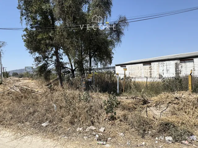 place photo 17