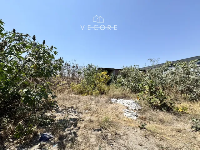place photo 18