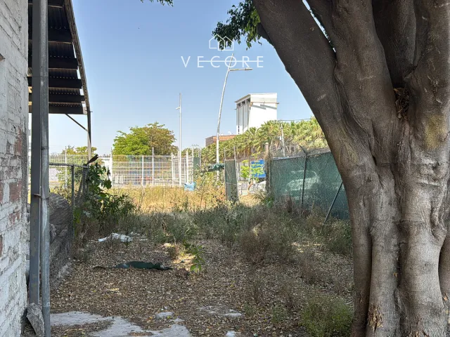 place photo 14