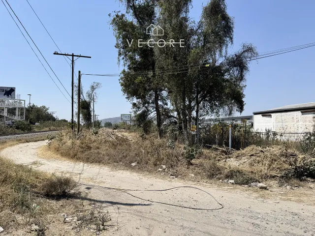 place photo 20