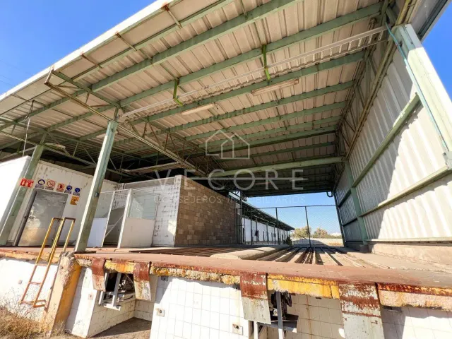 place photo 19