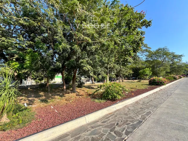 place photo 24
