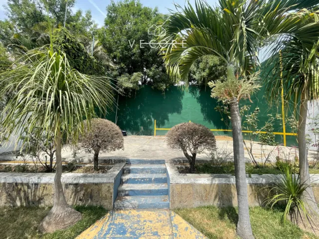 place photo 17