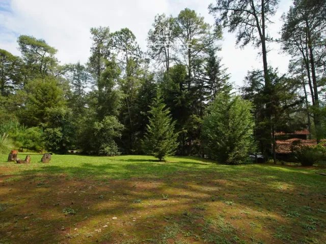 place photo 27
