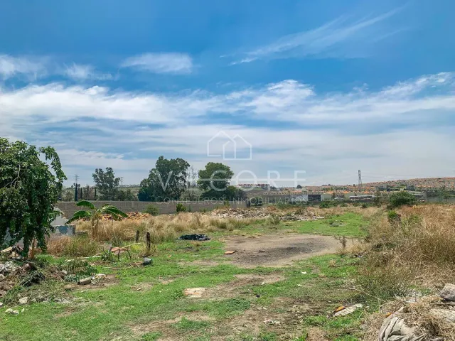 place photo 11