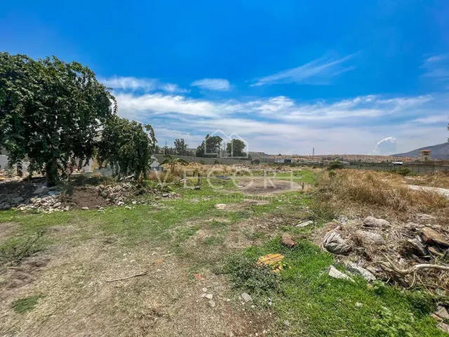 place photo 14