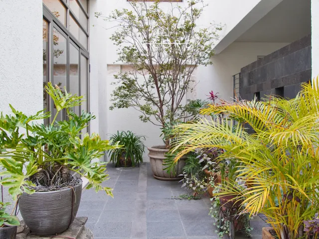 place photo 40