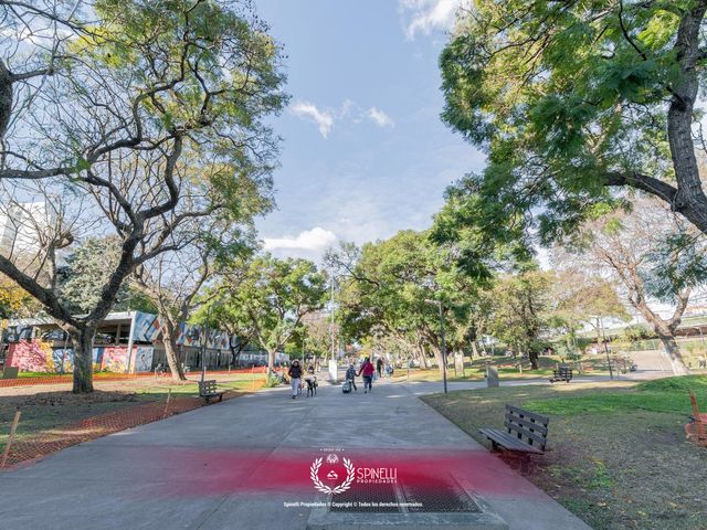 place photo 34