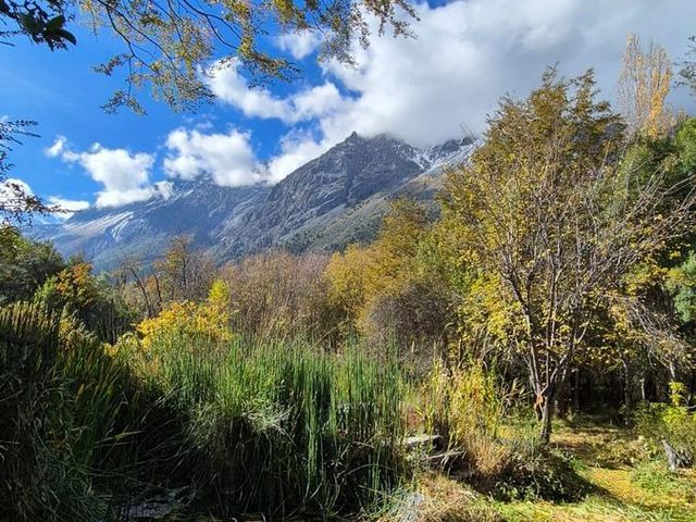 place photo 20