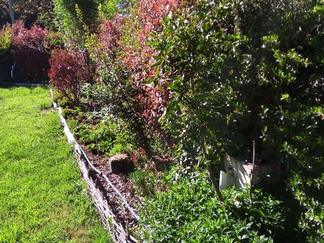 place photo 66