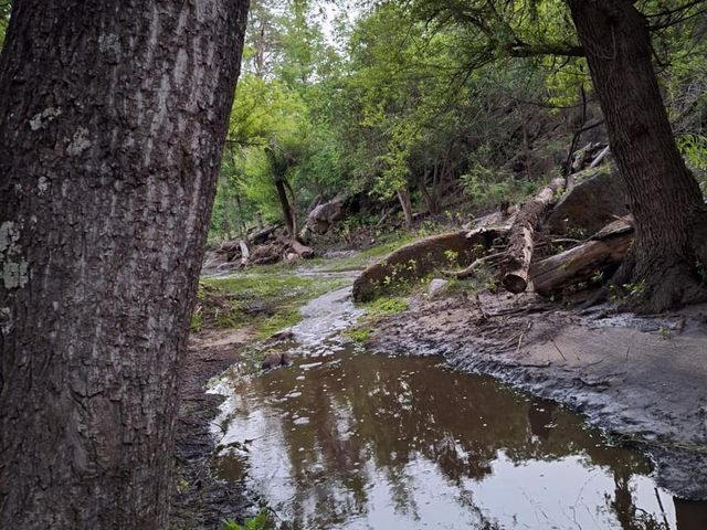 place photo 27