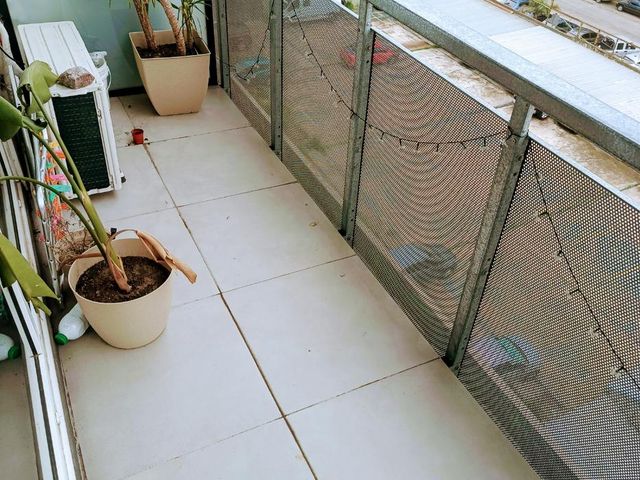 place photo 17
