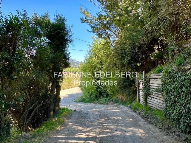 place photo 98