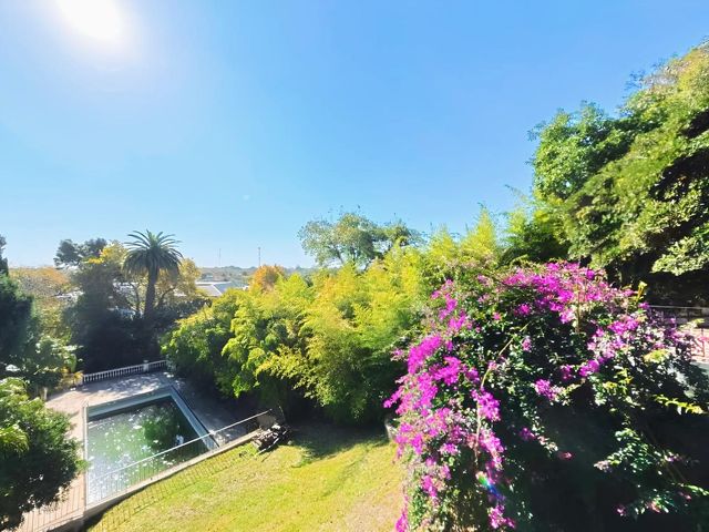 place photo 46