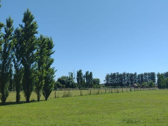place photo 31