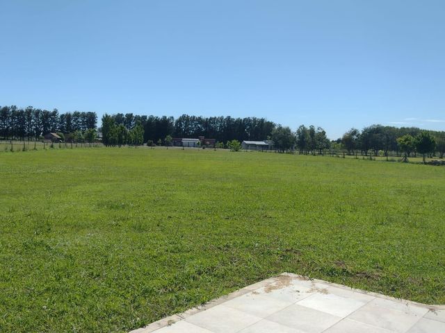 place photo 28