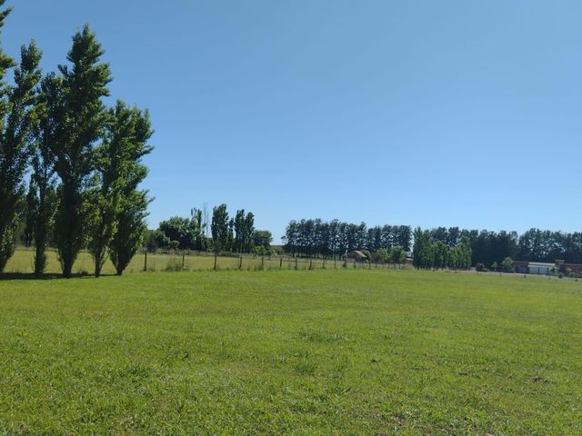 place photo 30