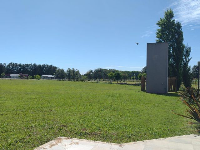 place photo 29