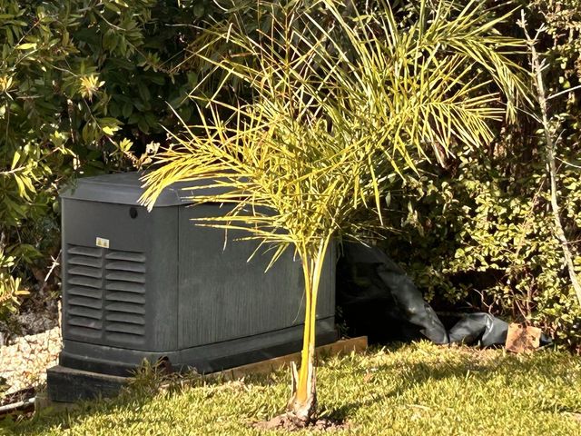 place photo 31