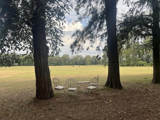 place photo 47