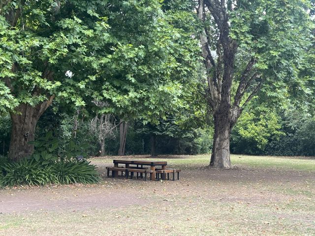 place photo 33