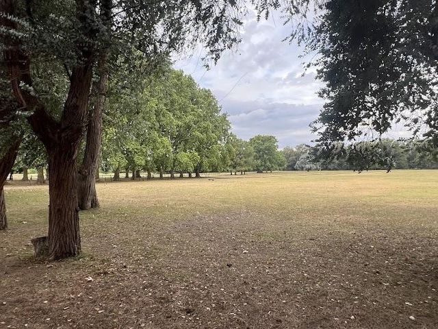 place photo 46