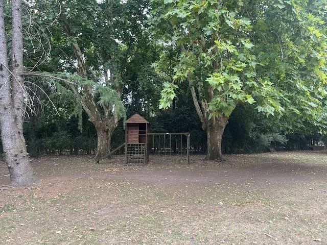 place photo 36