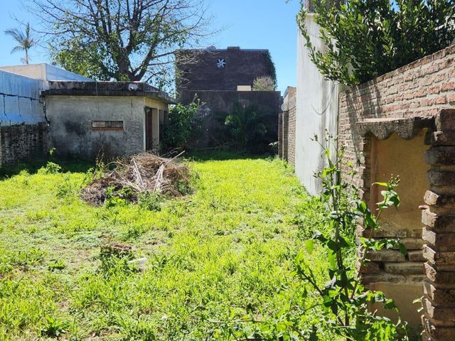place photo 12