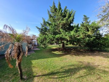 place photo 41
