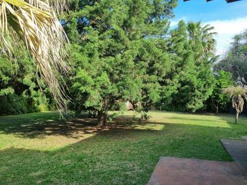 place photo 39