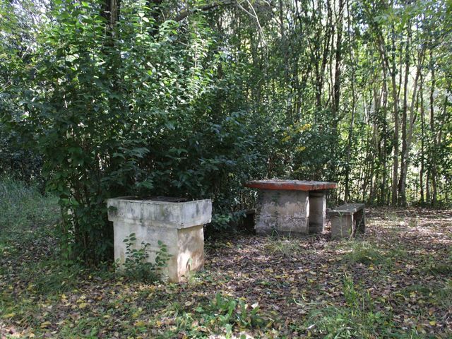 place photo 21