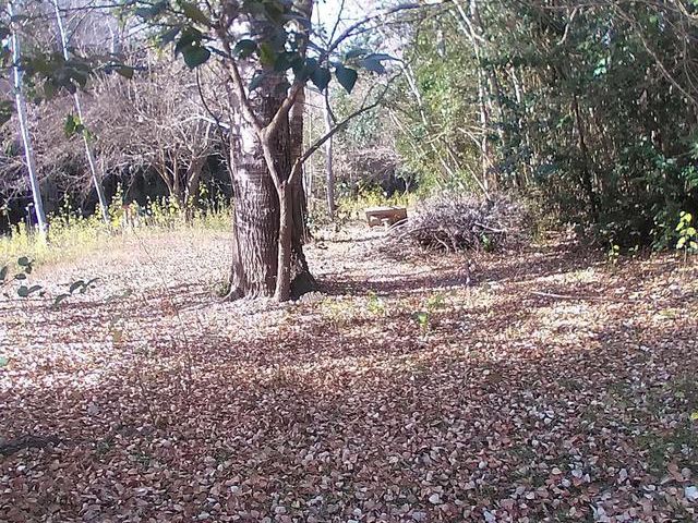 place photo 56