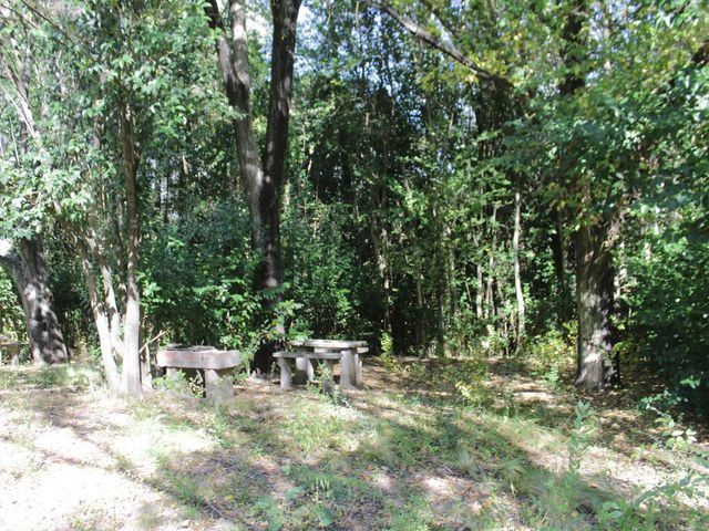 place photo 20