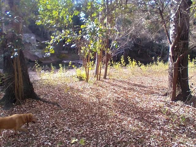 place photo 55