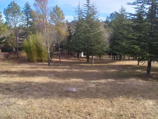 place photo 37