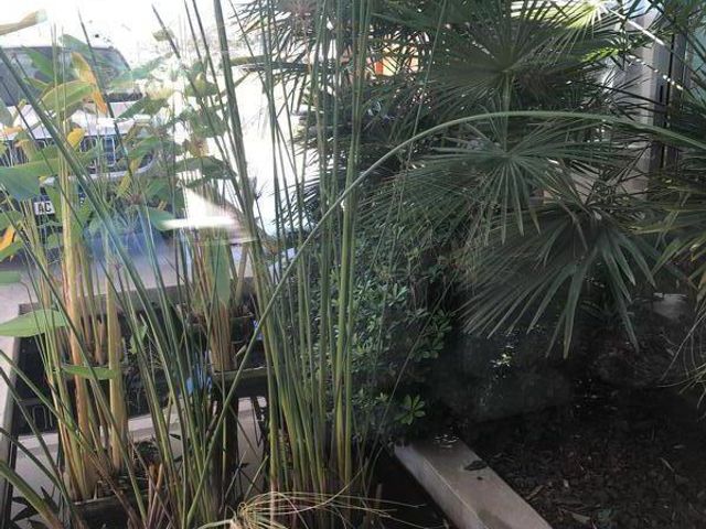 place photo 54
